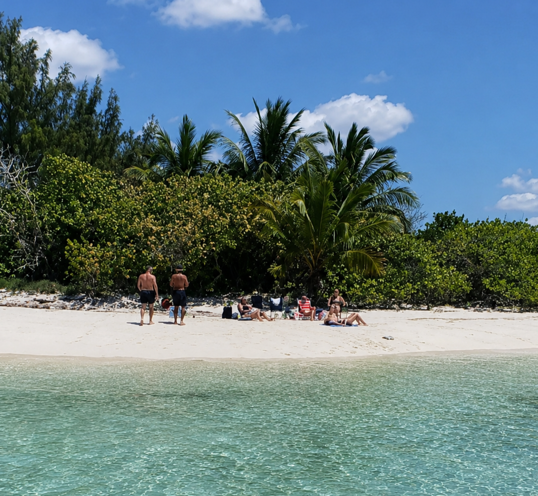 beach picnic (4)