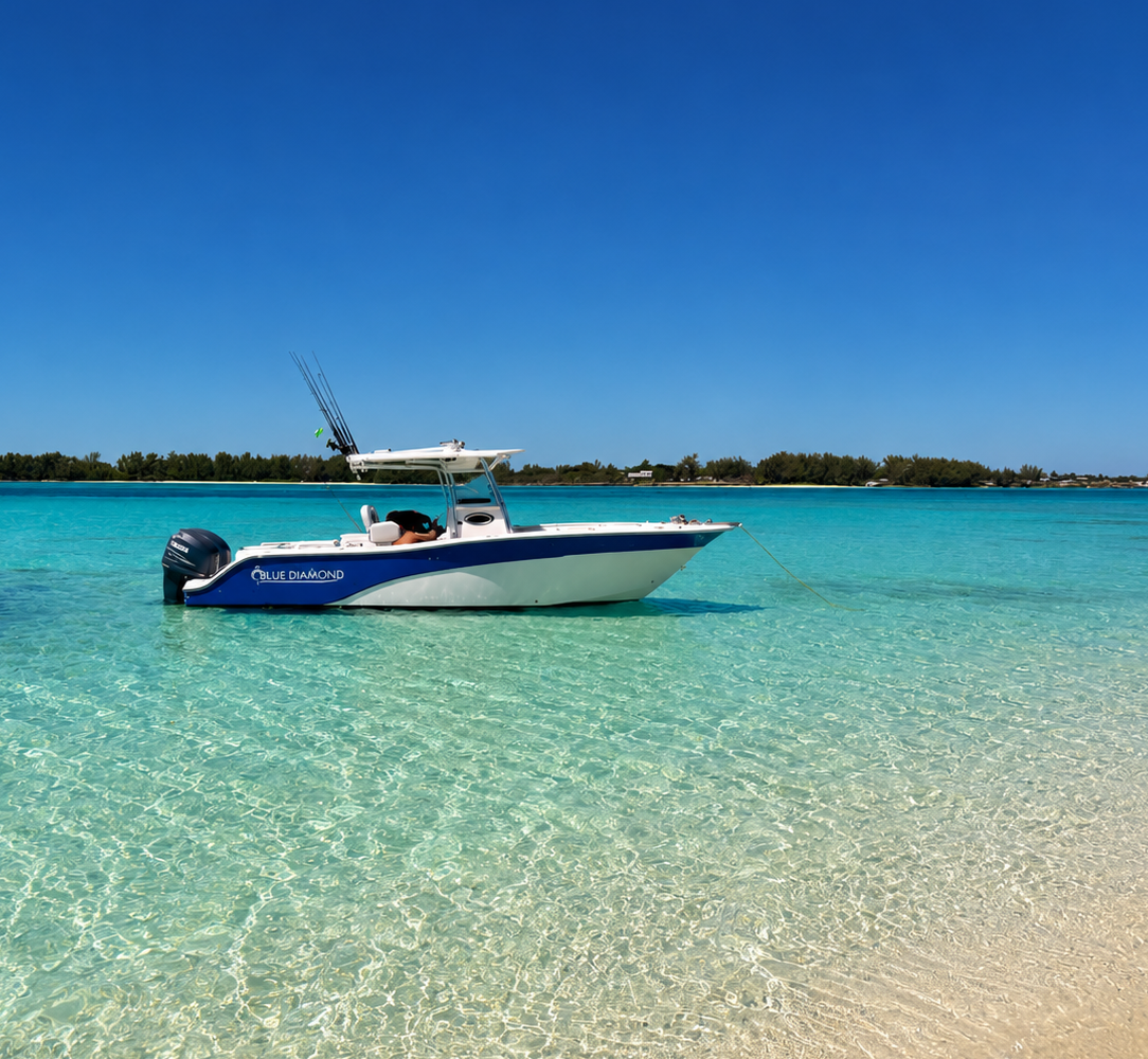 boat 3 (2)