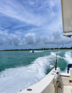 boat and ski