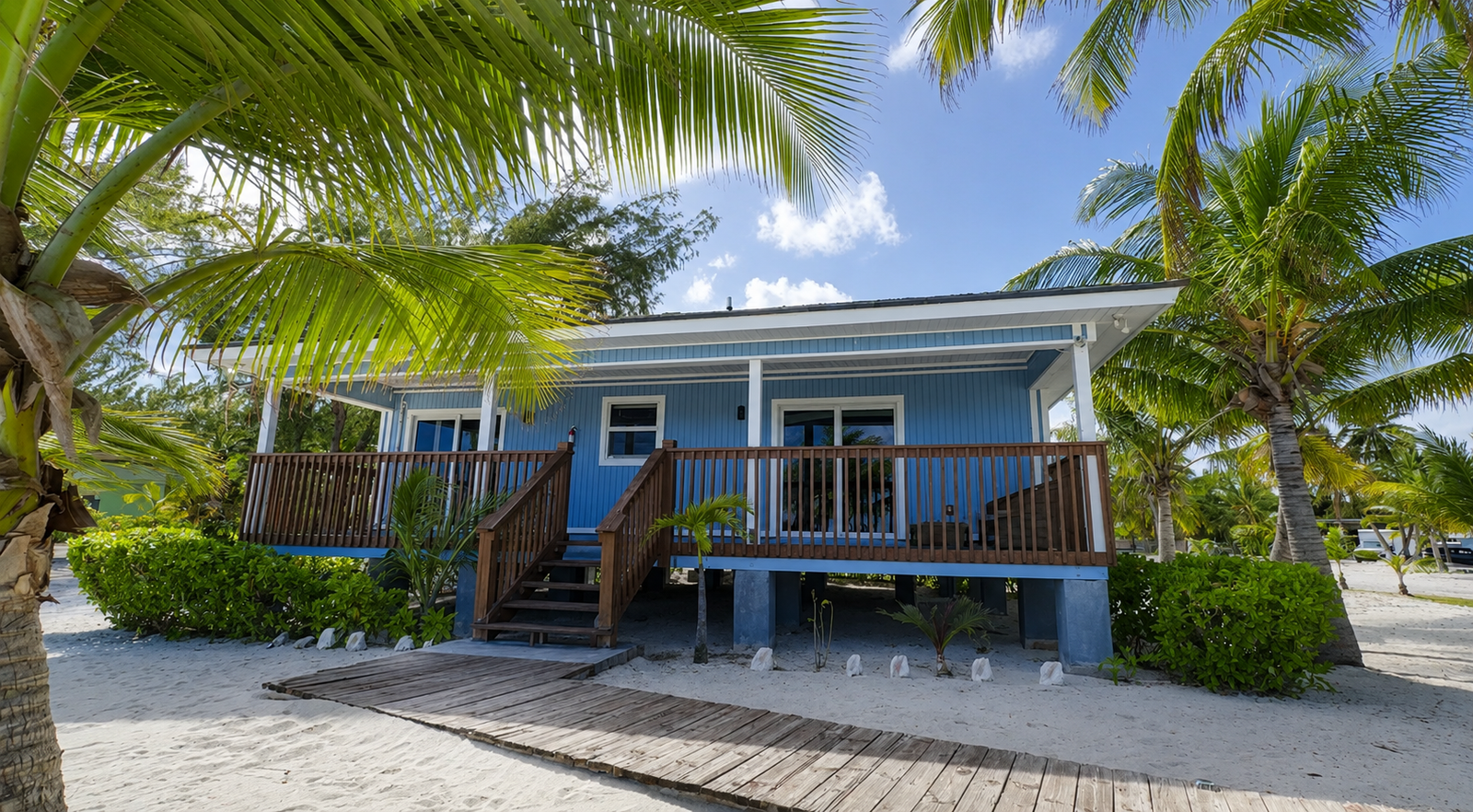 Home guest house palm tree (3)