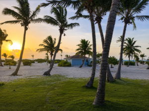 honeymoon morning