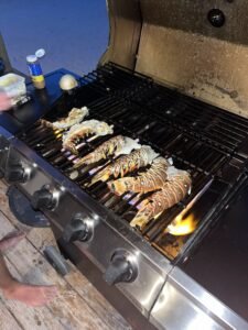 img 7167