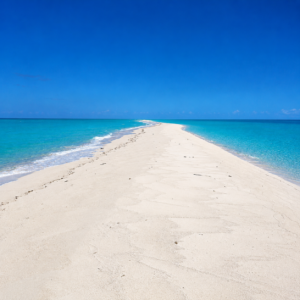sandbar