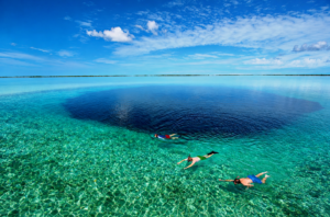 shark hole snorkling