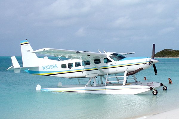 sea bird new